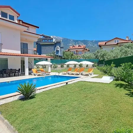 Tei, With Swimming Pool In Oeluedeniz New