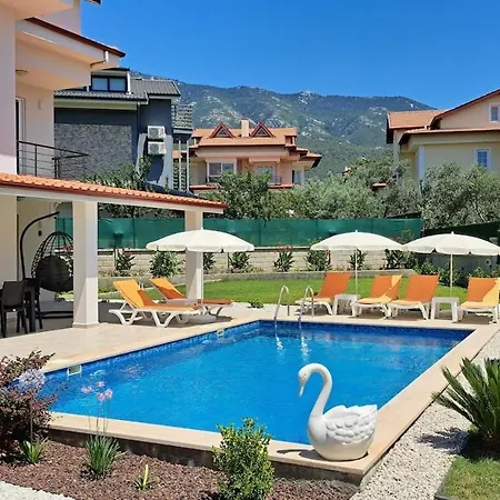 Villa Tei, With Swimming Pool In Oeluedeniz New